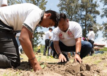 Realiza COBAO jornada de tequio y reforestación en sus 68 planteles