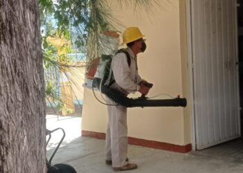 Exhorta SSO a personas con enfermedades crónicas a extremar medidas preventivas contra dengue