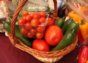 Nuevo esquema agroalimentario impulsado por Salomón Jara busca relanzar al campo oaxaqueño