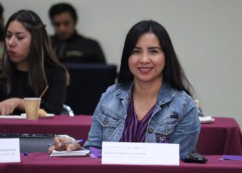 Oaxaca presente en 50ª Sesión Ordinaria de Sistema Nacional PASEVM