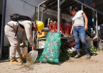 Convoca SSO realizar actividades de patio y vivienda limpia para combatir proliferación del dengue