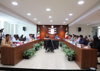 IEEPCO aprueba convocatoria para visitantes extranjeros de las elecciones 2024 