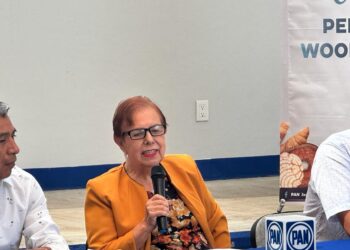 Para resolver el conflicto en la UTVCO, el PAN se pronunció por la destitución de la rectora Tania López ante su incapacidad y falta de perfil académico