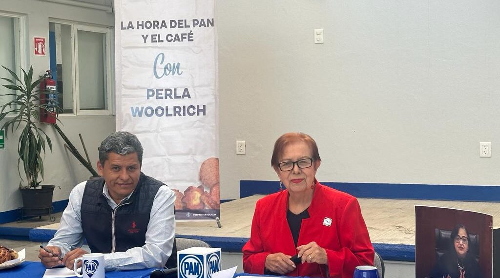 El PAN en Oaxaca urgió a modificar el paquete presupuestal 2024, y evitar que el partido oficial siga “robando” a  los mexicanos recursos públicos para hacer “cochinitos” para el proceso electoral 2024