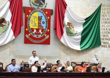 Busca Congreso sancionar la destrucción de colmenas de abejas polinizadoras