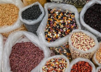 Invita Gobierno de Oaxaca a Feria Estatal de la Agrobiodiversidad