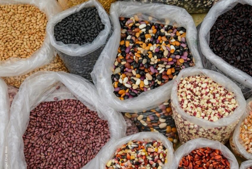 Invita Gobierno de Oaxaca a Feria Estatal de la Agrobiodiversidad