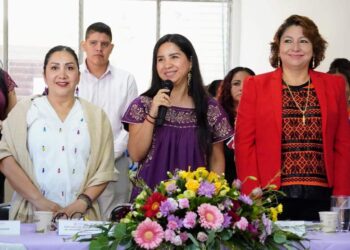 Aprueban programa de Acciones estratégicas para la atención de la alerta de violencia de género contra las mujeres