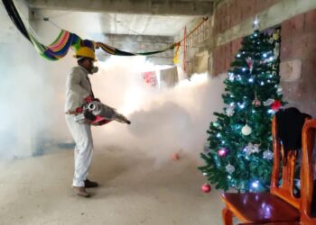 Fundamental seguir con medidas preventivas contra el dengue: SSO