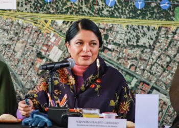 La cultura en el país vive un cambio radical: Alejandra Frausto Guerrero