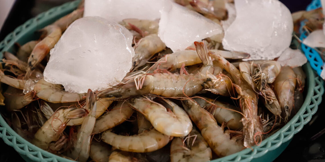 Inauguran Tianguis Cuaresma 2024, Expo Acuícola y Pesquera en la Plaza de la Danza