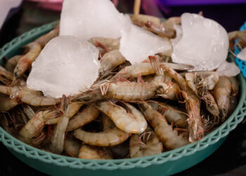 Inauguran Tianguis Cuaresma 2024, Expo Acuícola y Pesquera en la Plaza de la Danza
