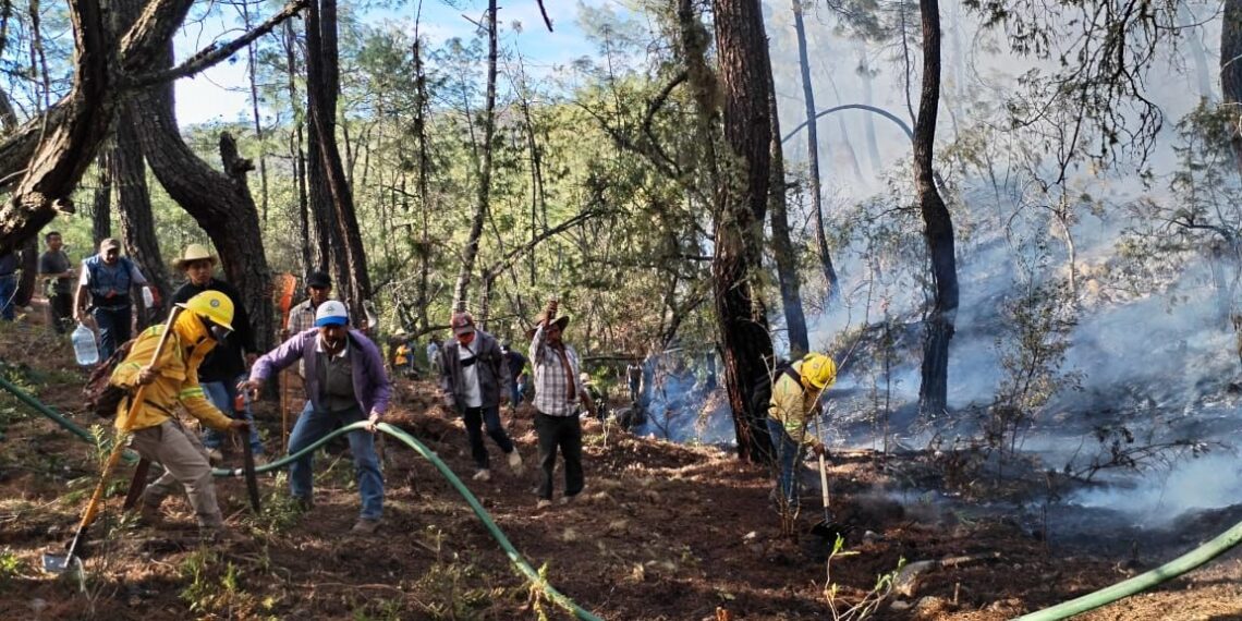 Coesfo liquida y controla cinco incendios en Oaxaca