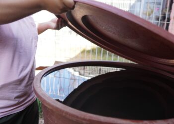 Cuidado del agua, fundamental para evitar criaderos de mosquito transmisor de dengue: SSO