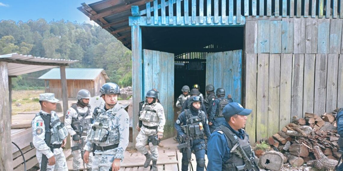 Destacamentos de seguridad se establecen en San Pedro el Alto