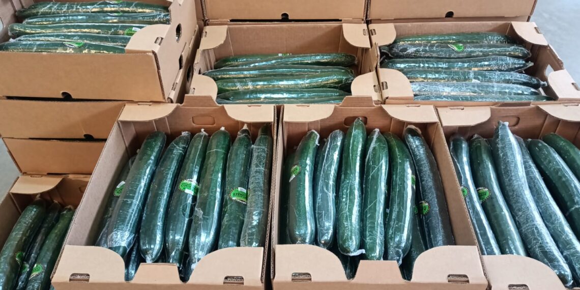 Productores de Huixtepec abren puertas comerciales hacia Estados Unidos y Canadá