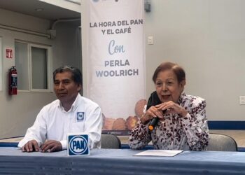 Instancias del gobierno estatal a favor de la mujer son elefantes blancos, frente a la violencia que enfrenta la población femenina.