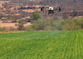Emplea Sefader uso de la tecnología para combatir plagas en la Mixteca
